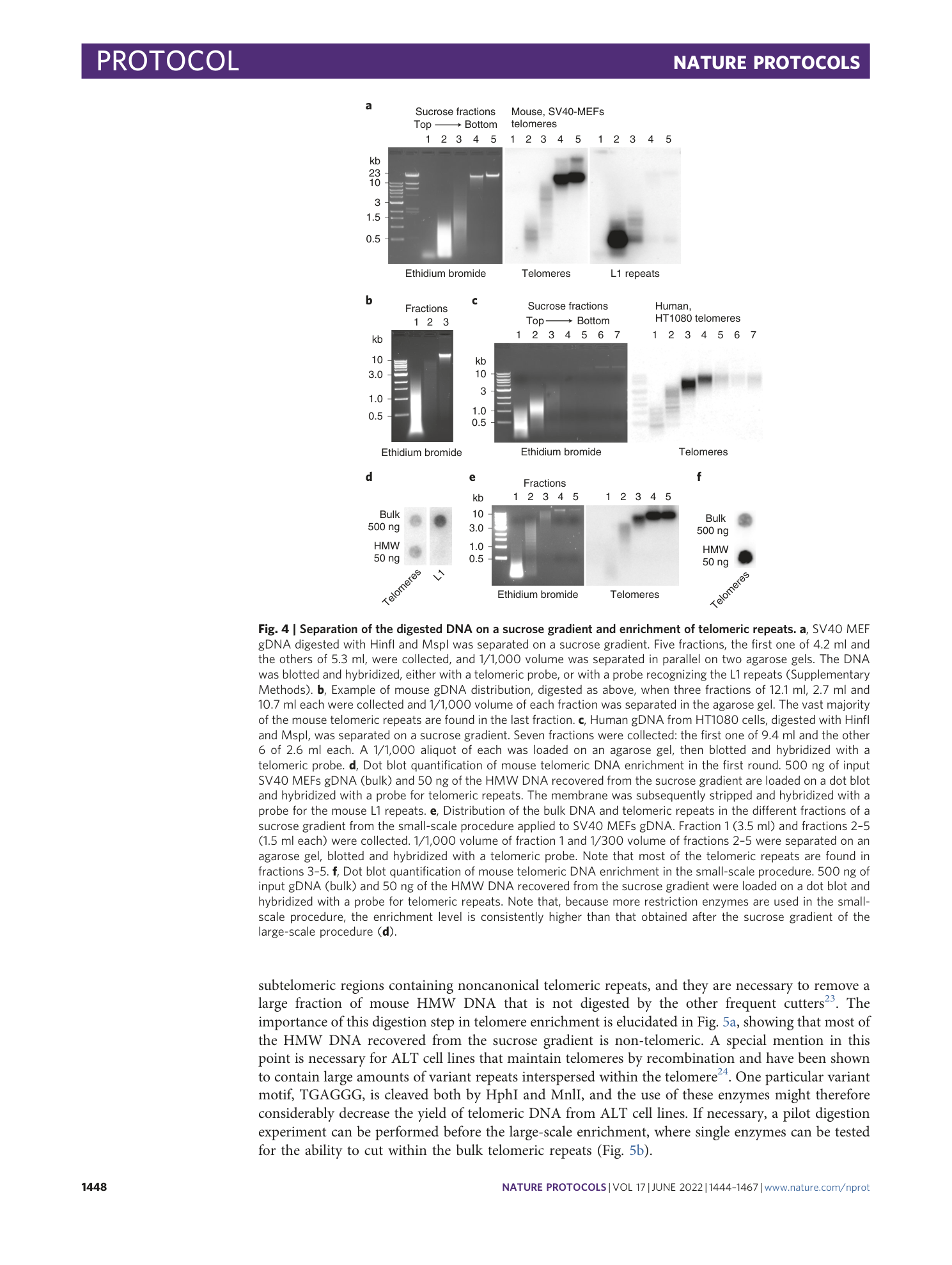 page-5