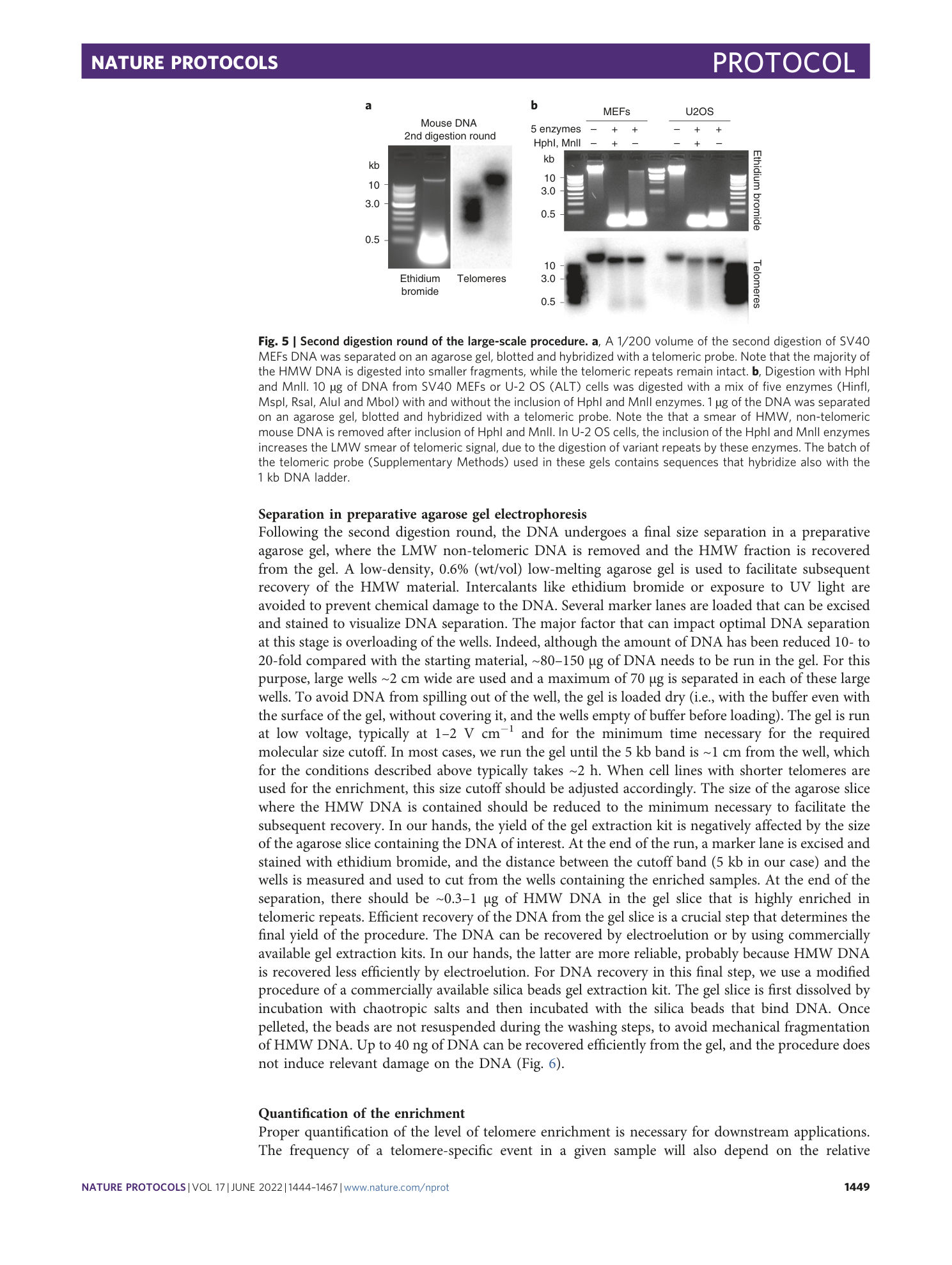 page-6