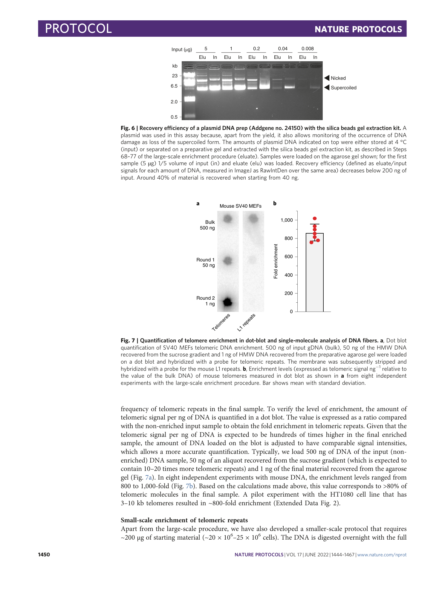 page-7