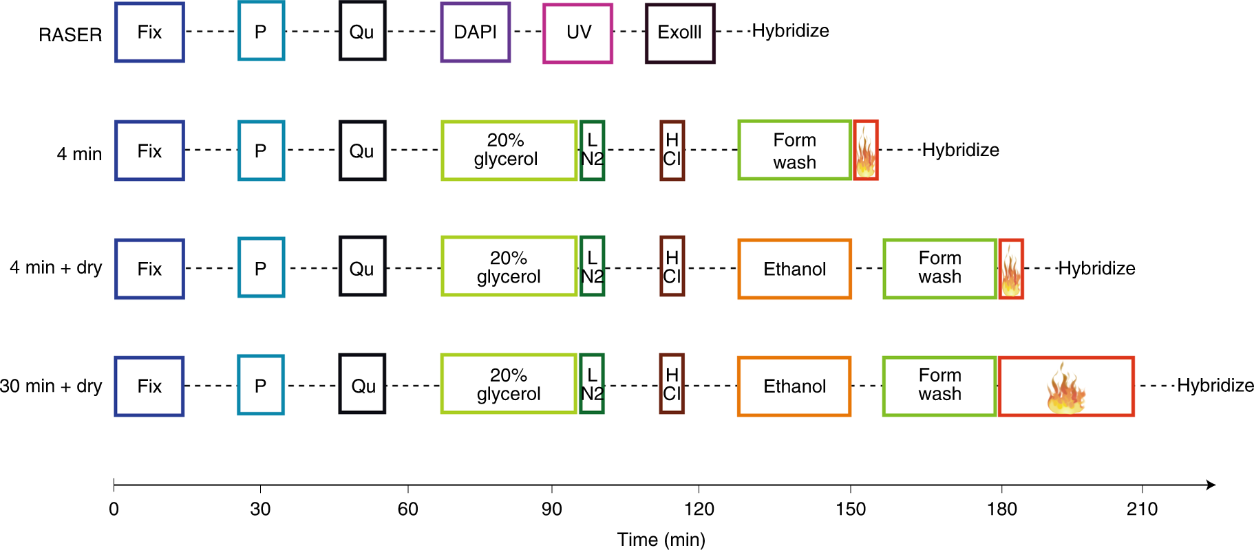 Fig. 1: Comparison of prehybridization workflow for RASER-FISH with heat denaturation FISH techniques.