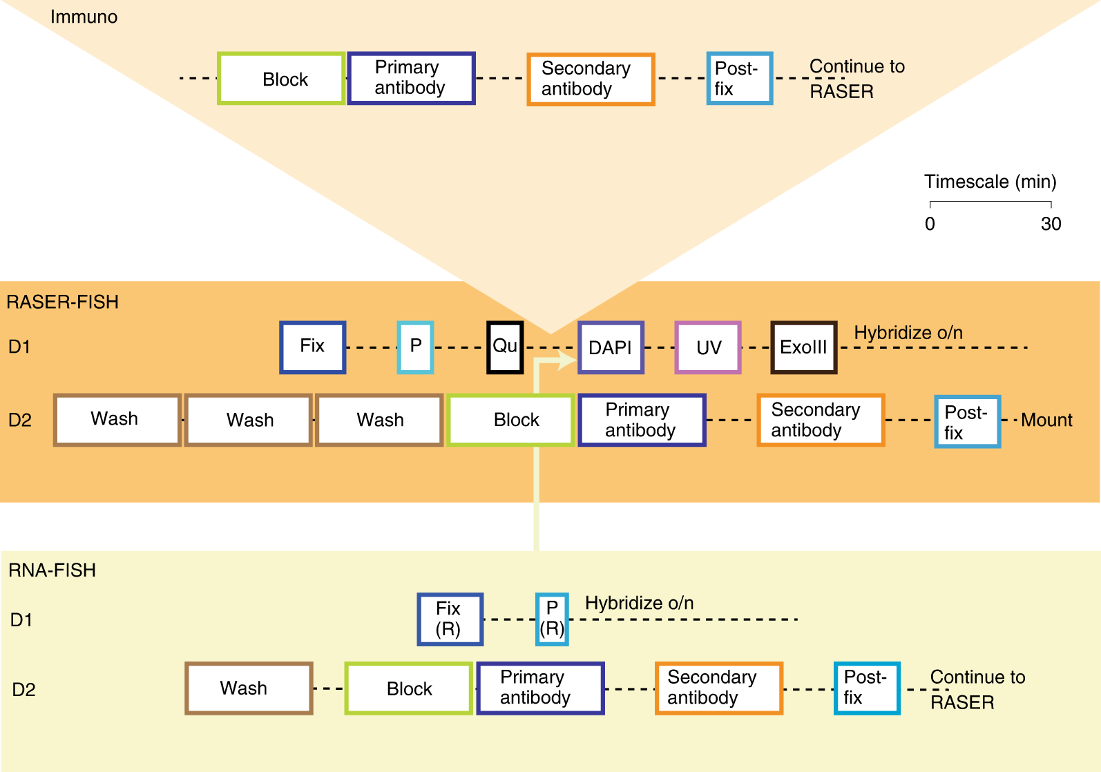 Fig. 5: Workflow for RASER-FISH.