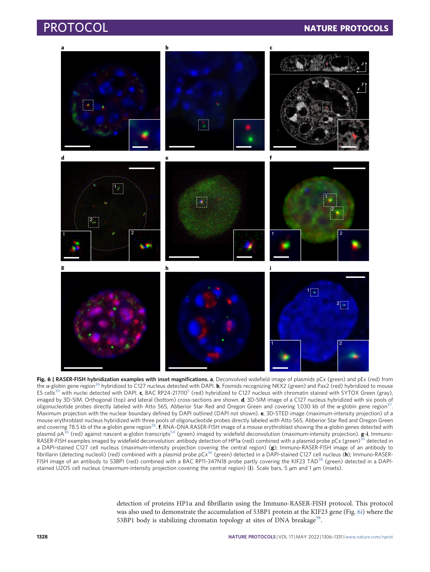 page-23