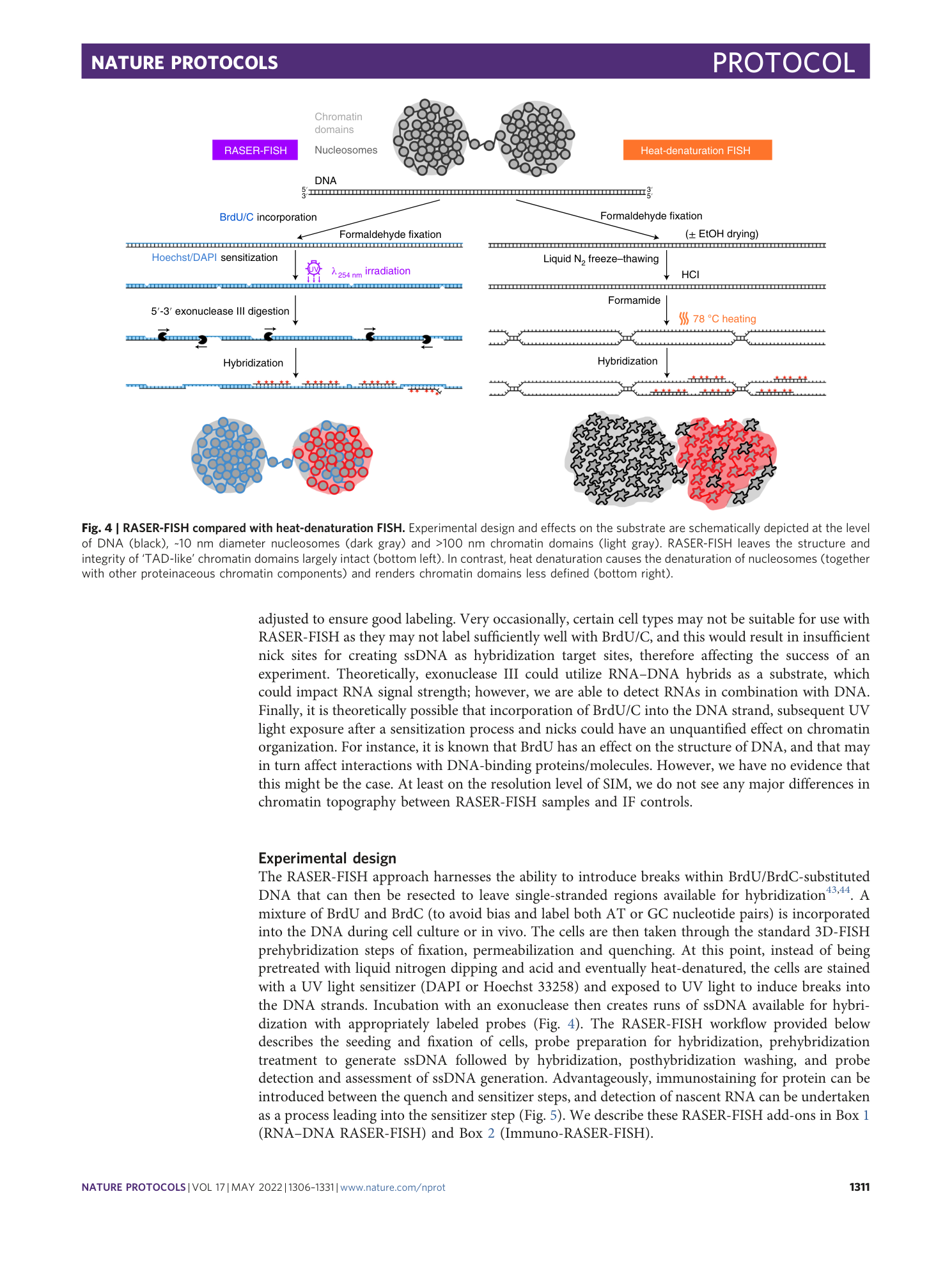page-6