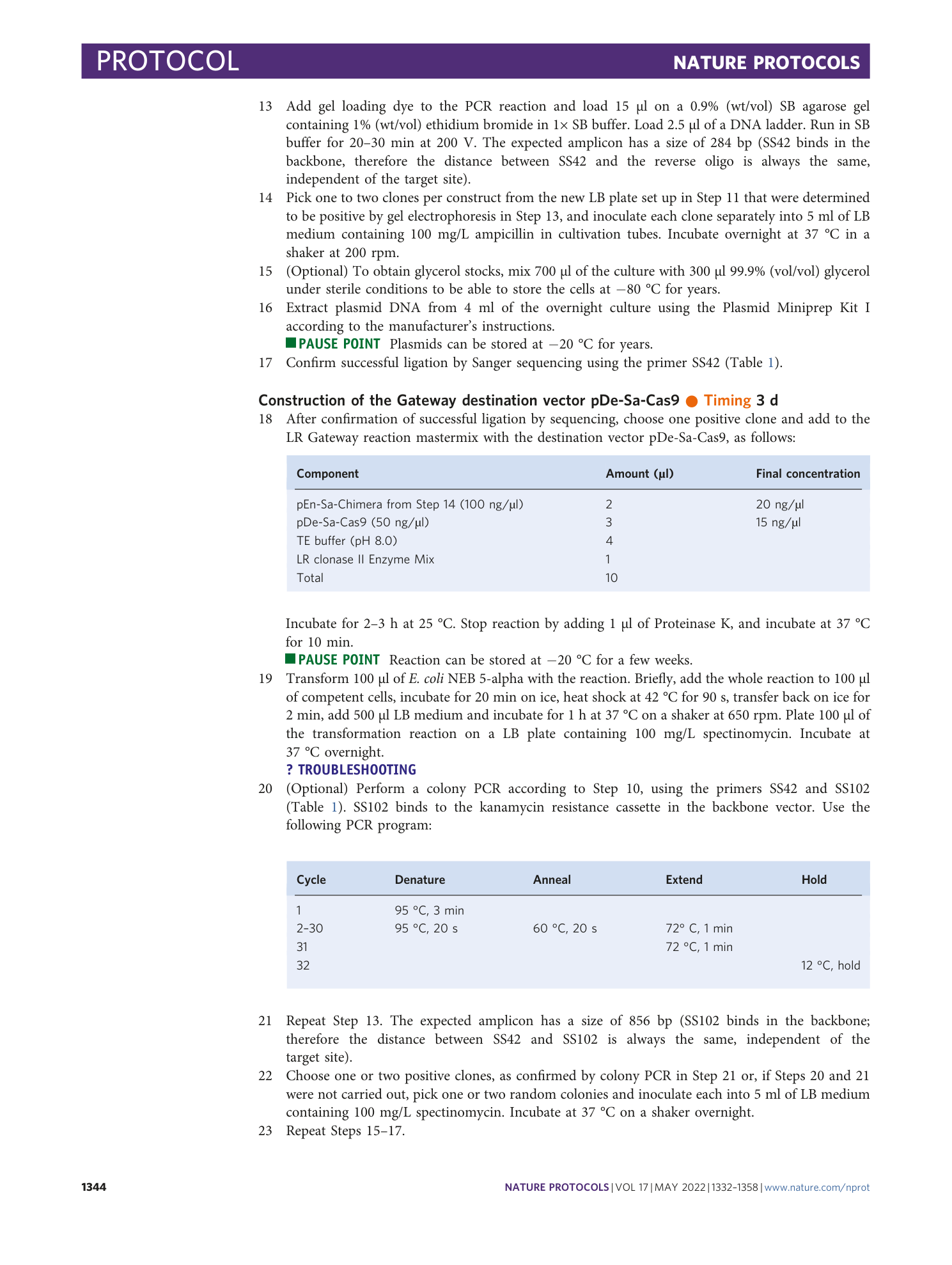page-13
