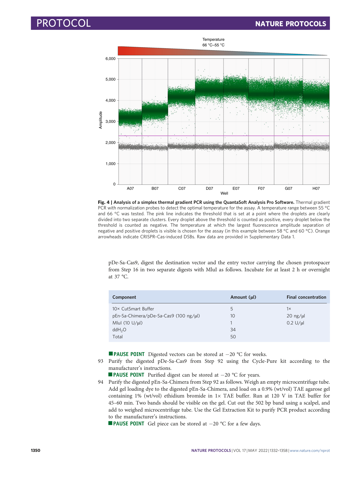 page-19