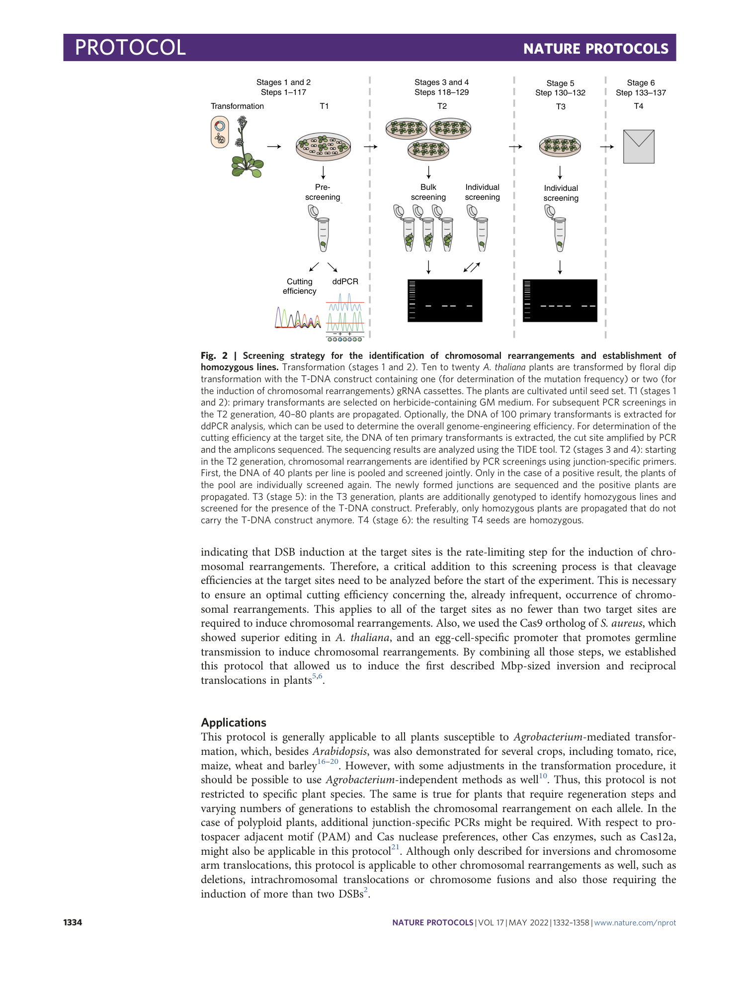 page-3
