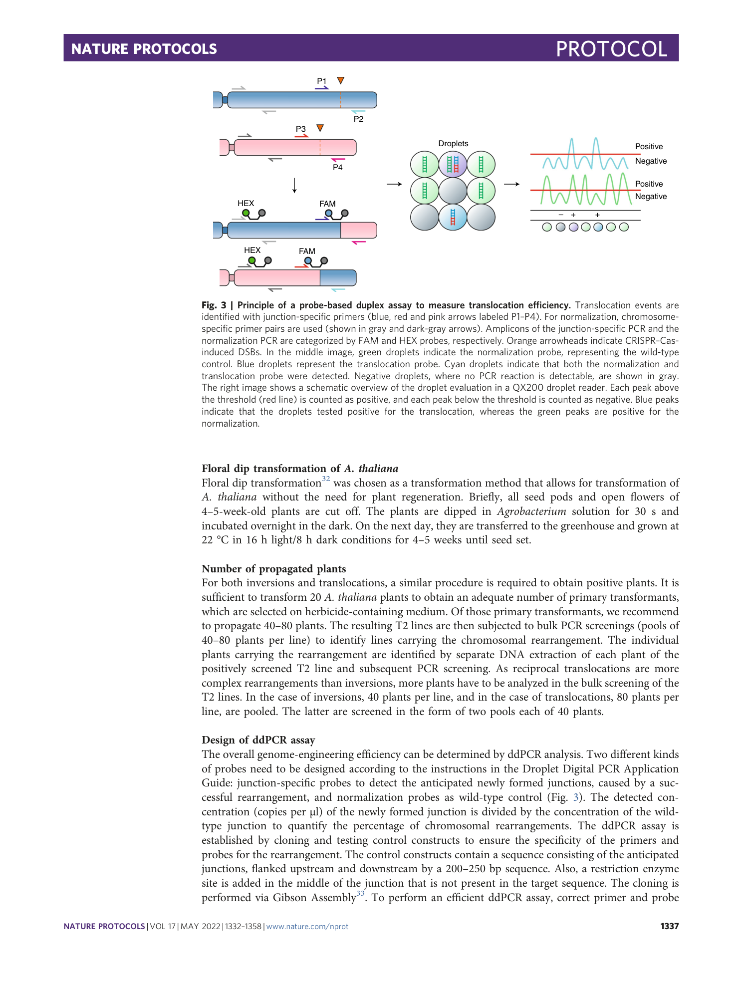 page-6