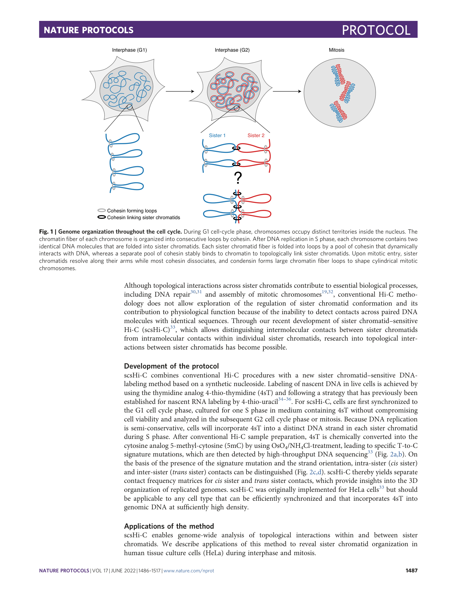 page-2