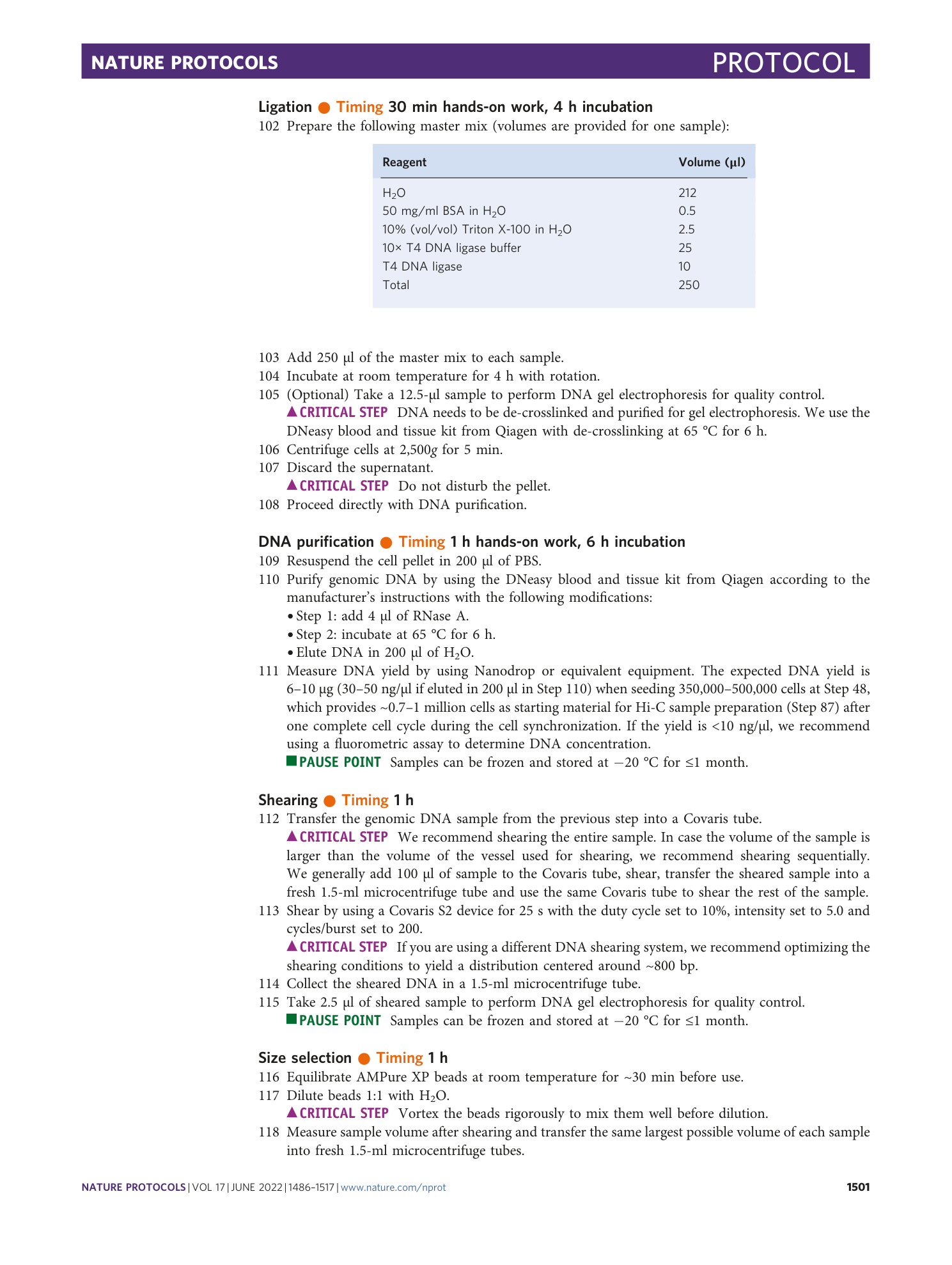 page-16