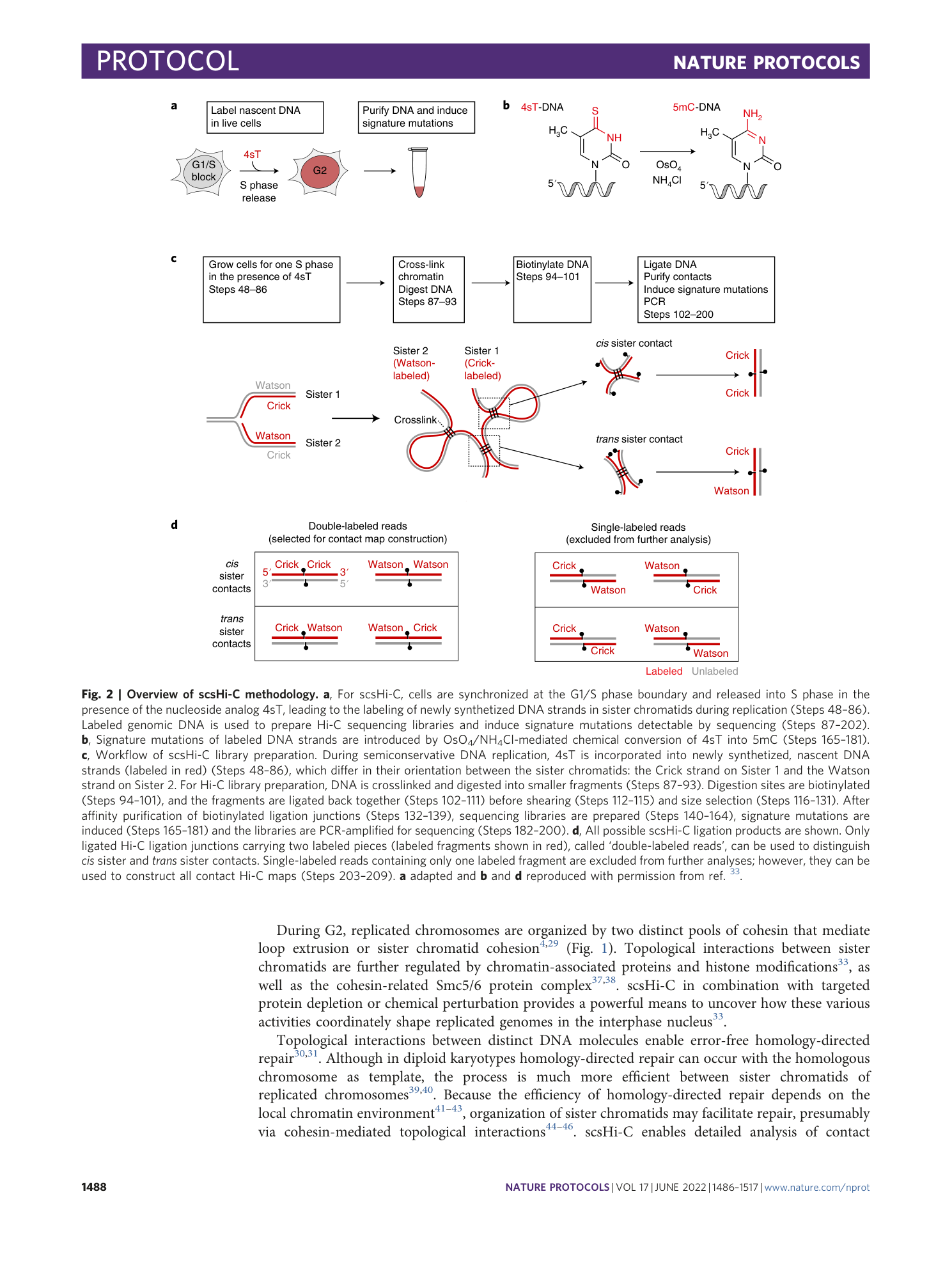 page-3
