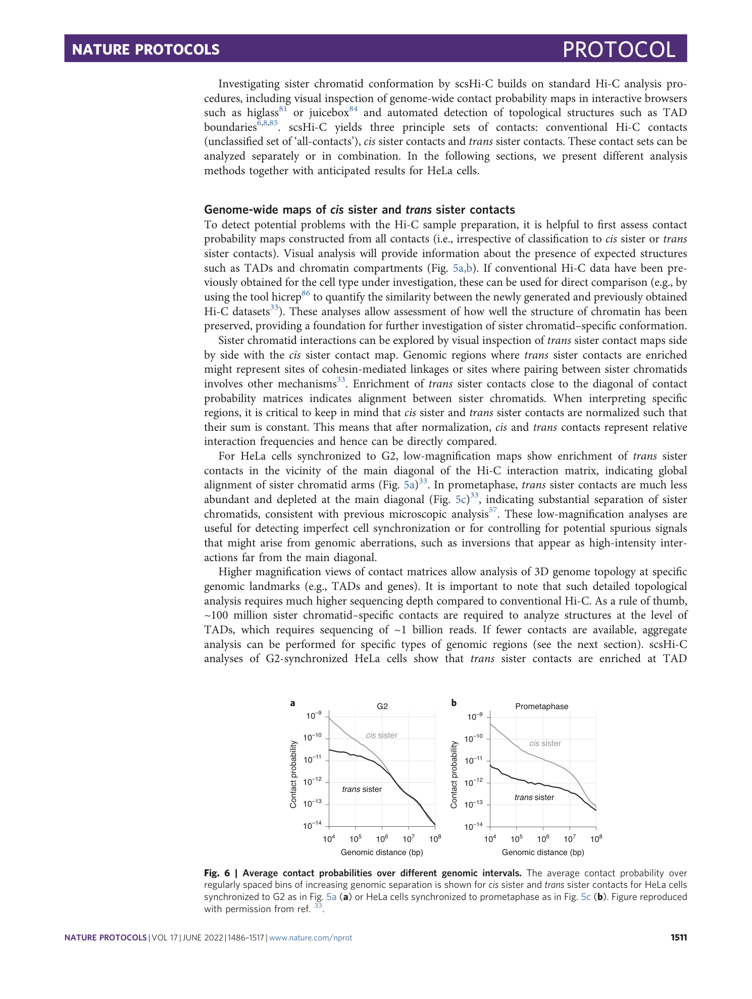 page-26