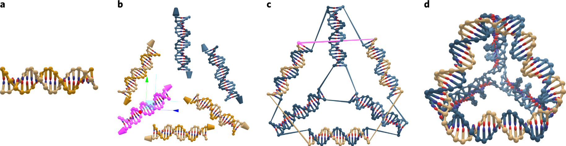 Fig. 2: Designing a DNA tetrahedron using the oxView editing tools.