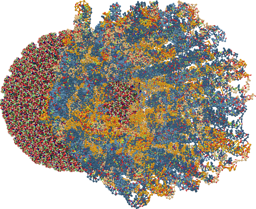 Fig. 6: oxView visualization of a bluetongue virus core and a DNA origami barrel.