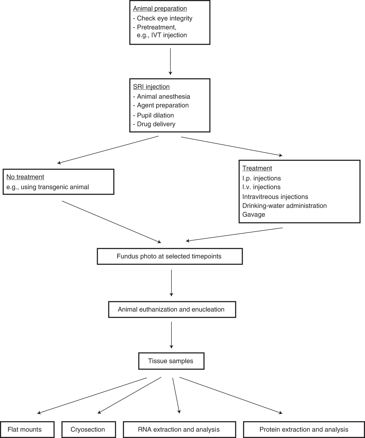 Fig. 4: Overview of the procedure.