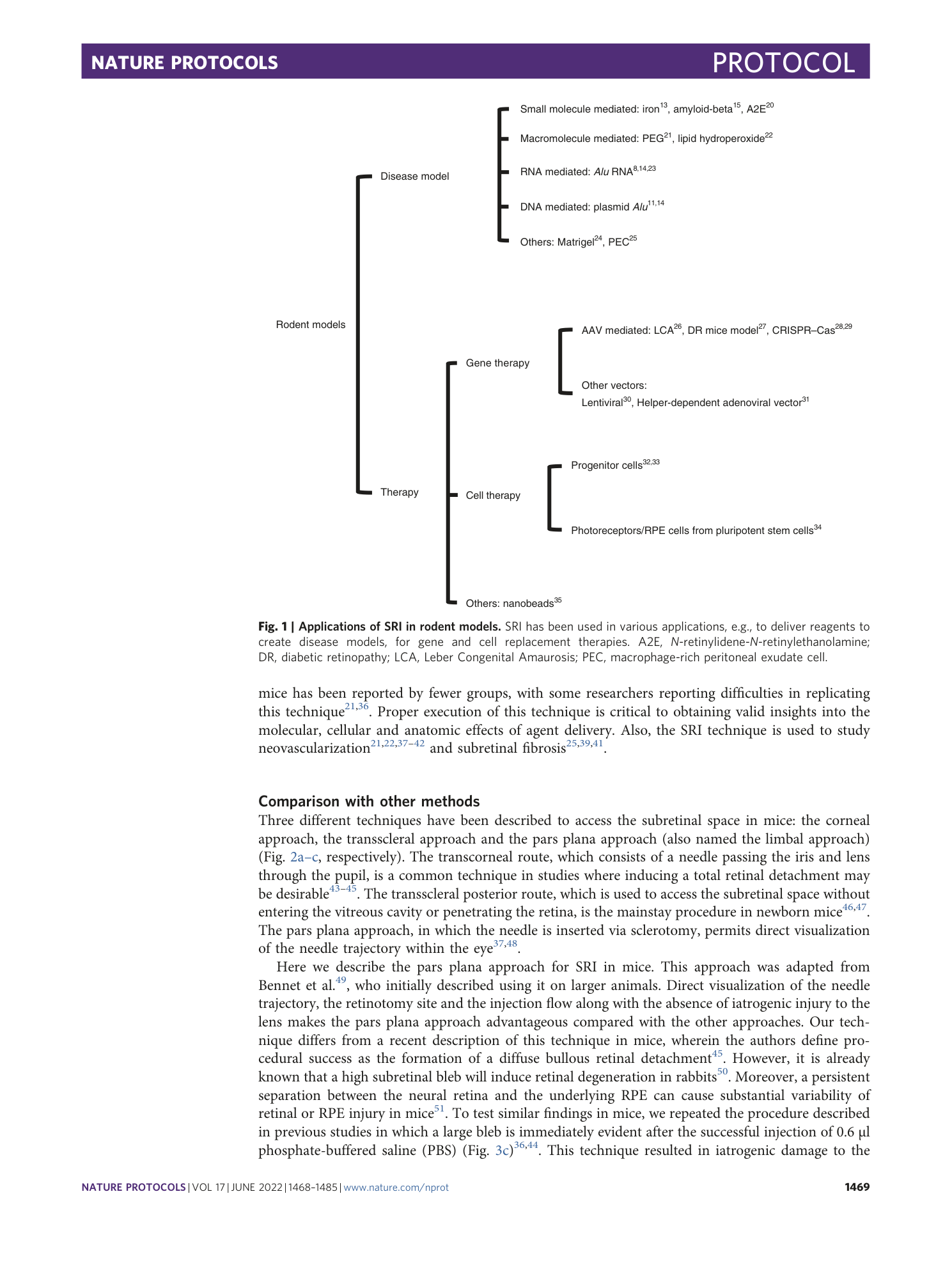 page-2