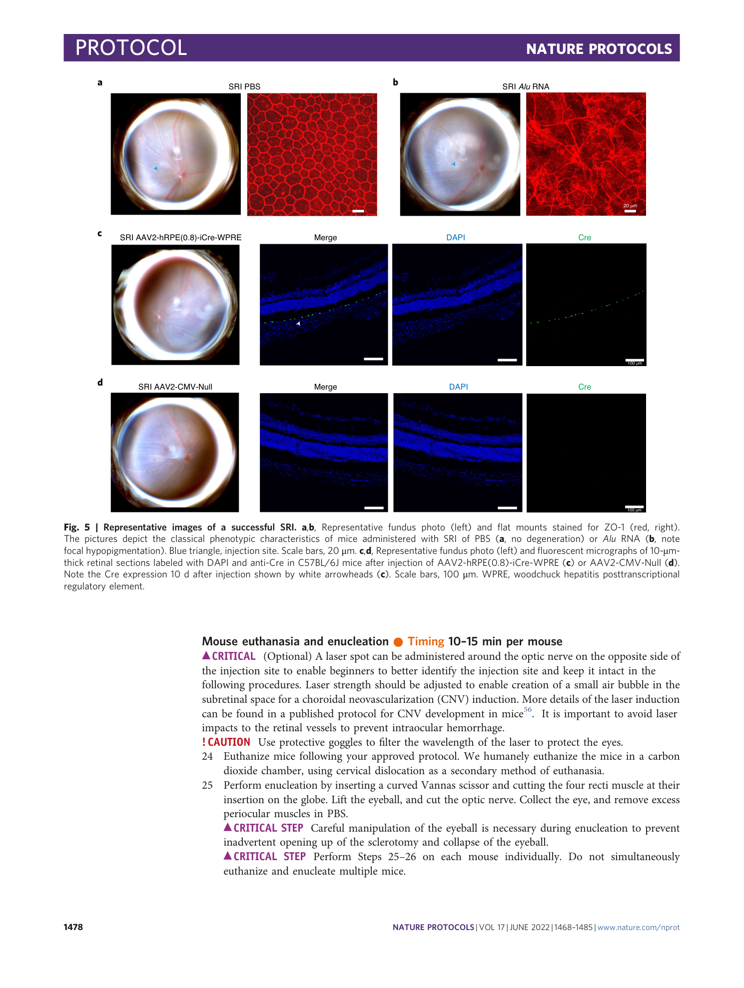 page-11