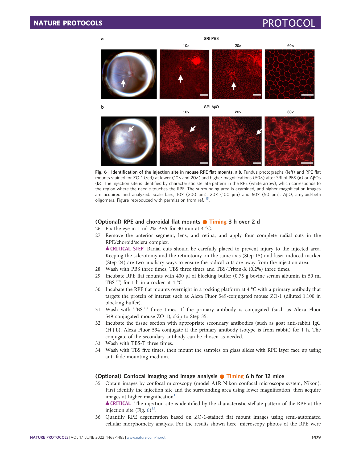 page-12