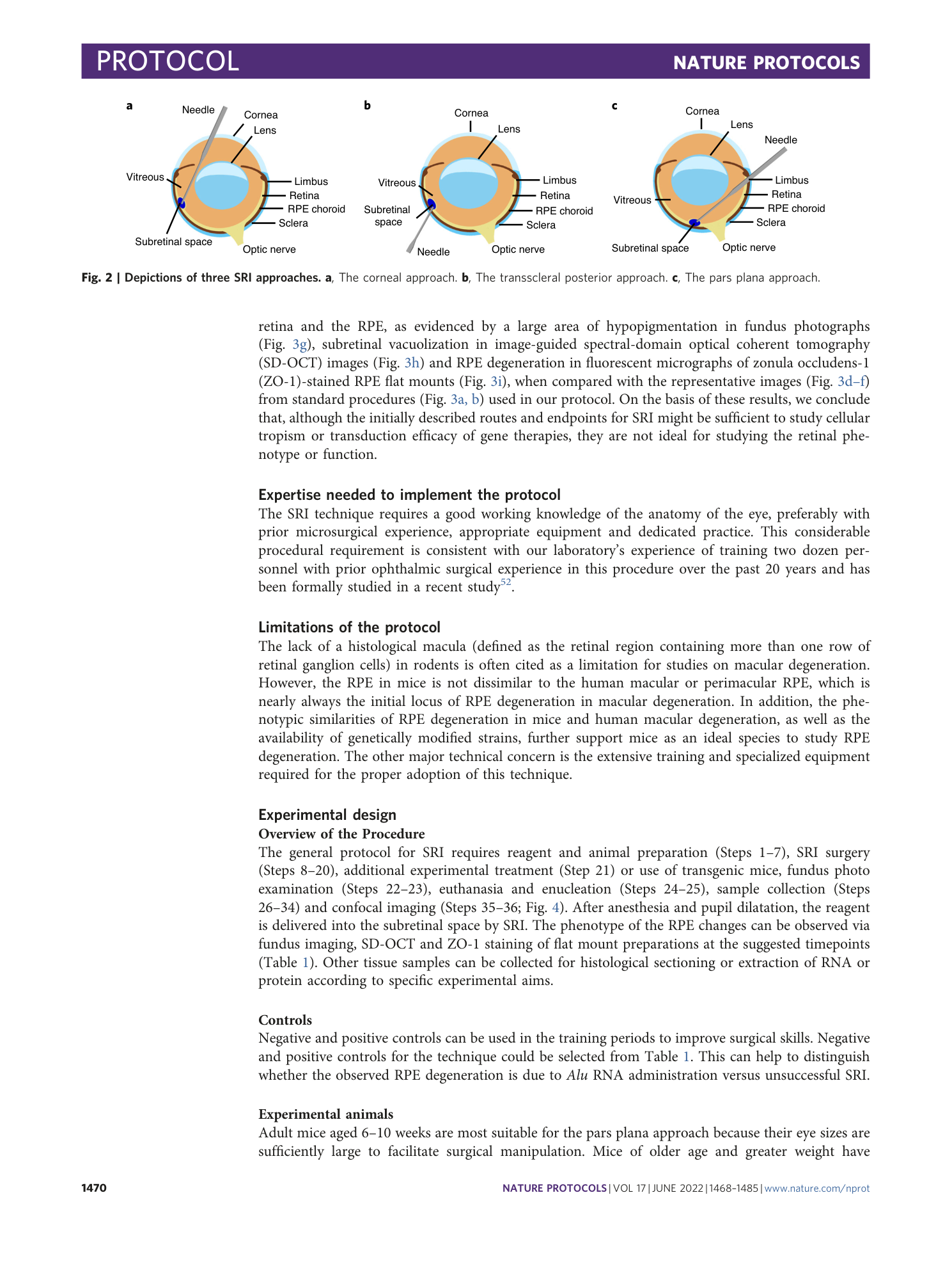 page-3