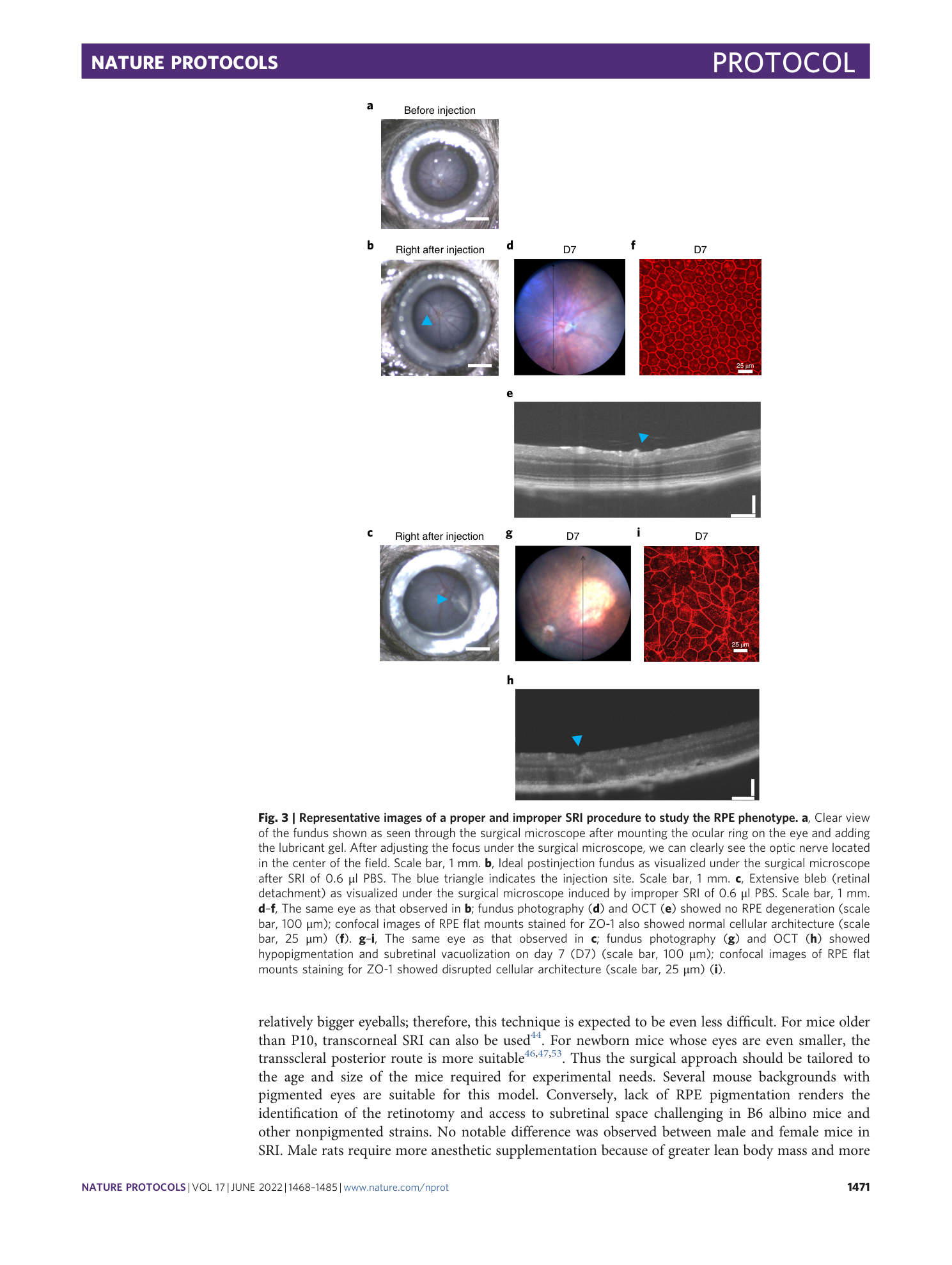 page-4