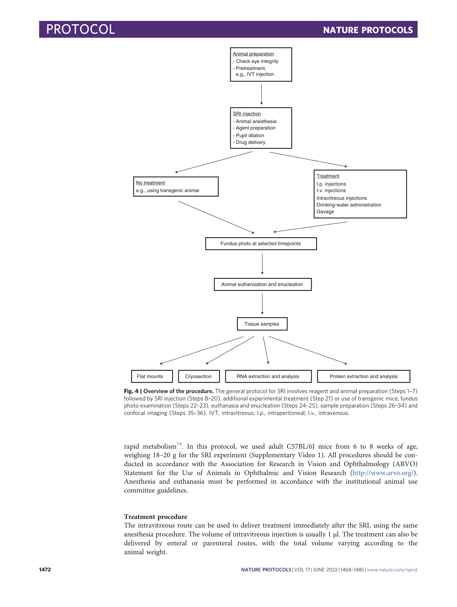 page-5
