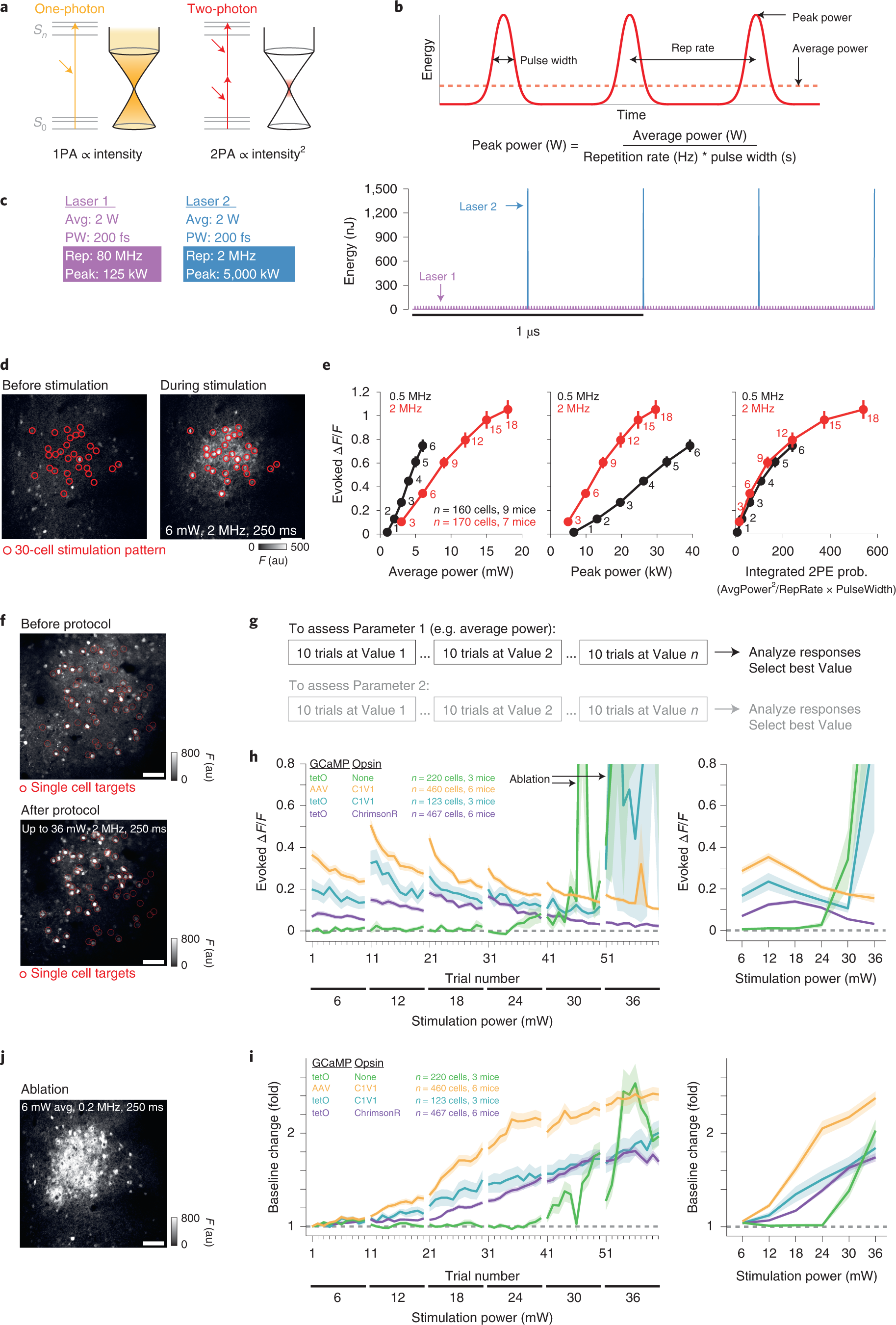 Fig. 10: Two-photon excitation and calibration of safe and effective stimulation parameters.