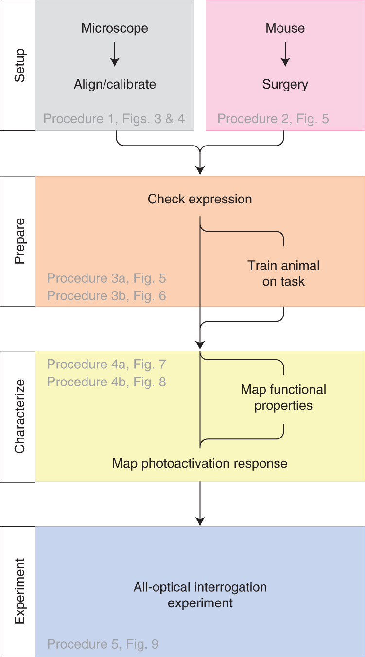 Fig. 2: Overview of experimental steps.
