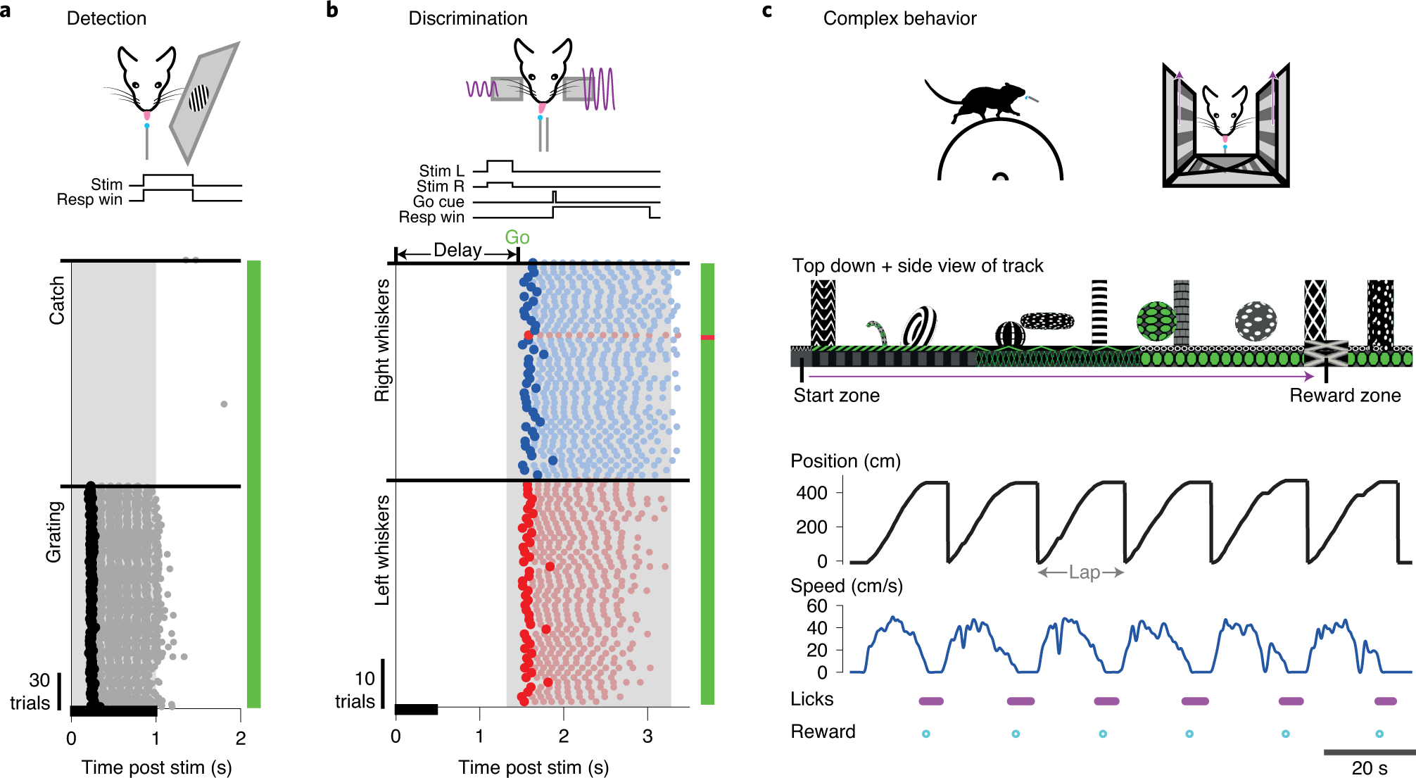 Fig. 6: Choosing an appropriate behavioral paradigm.