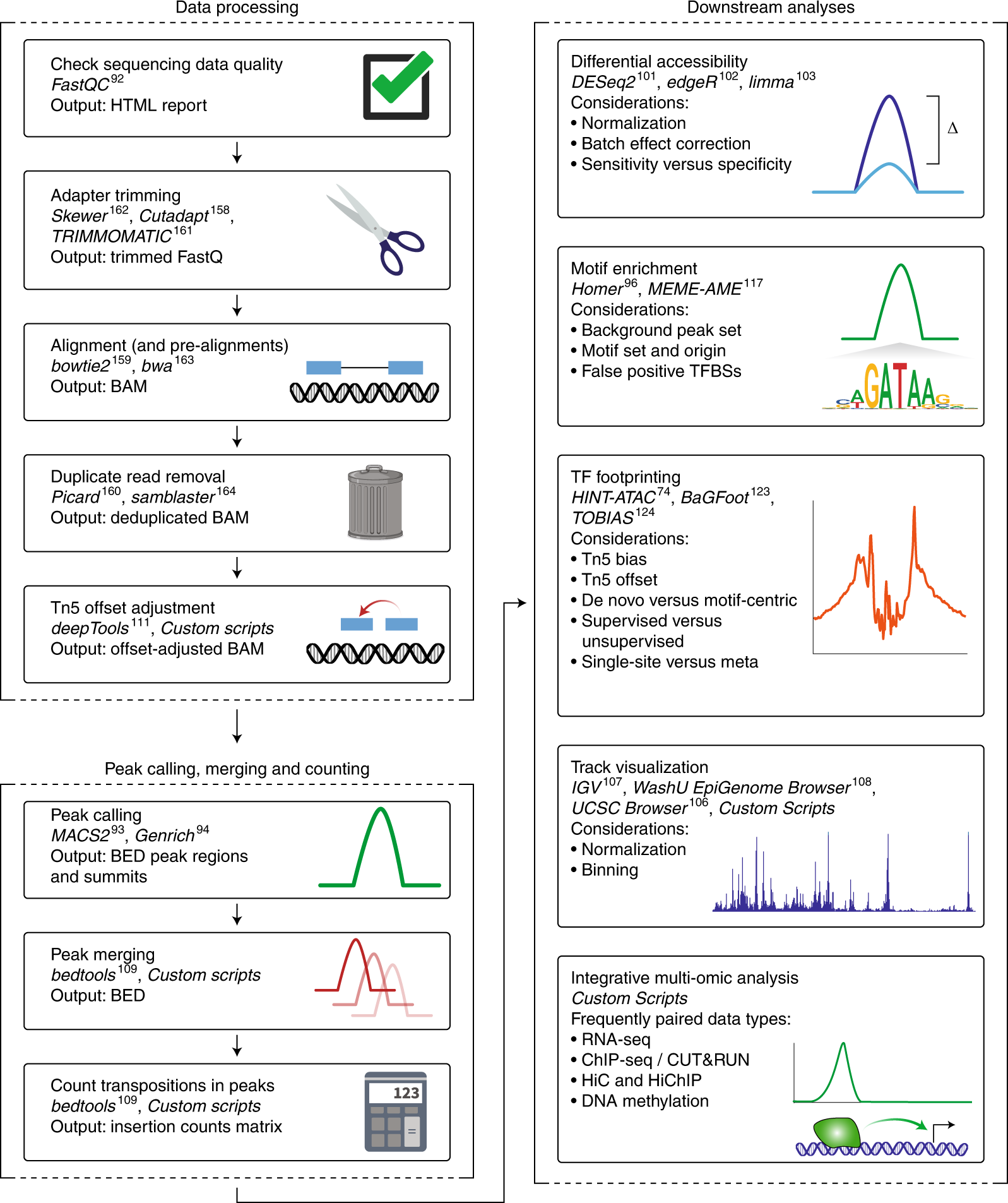 Fig. 4: Overview of the steps of ATAC-seq data analysis.