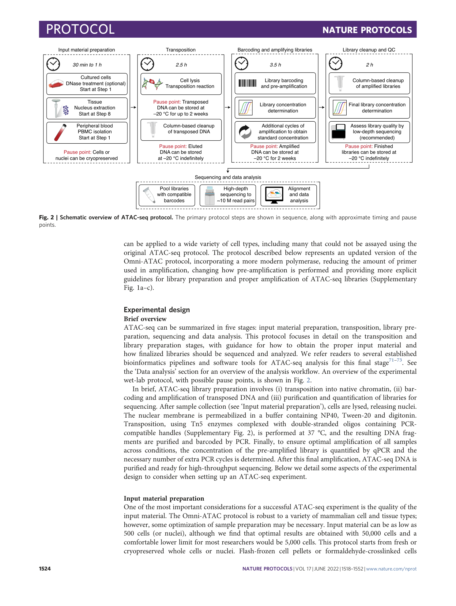 page-7