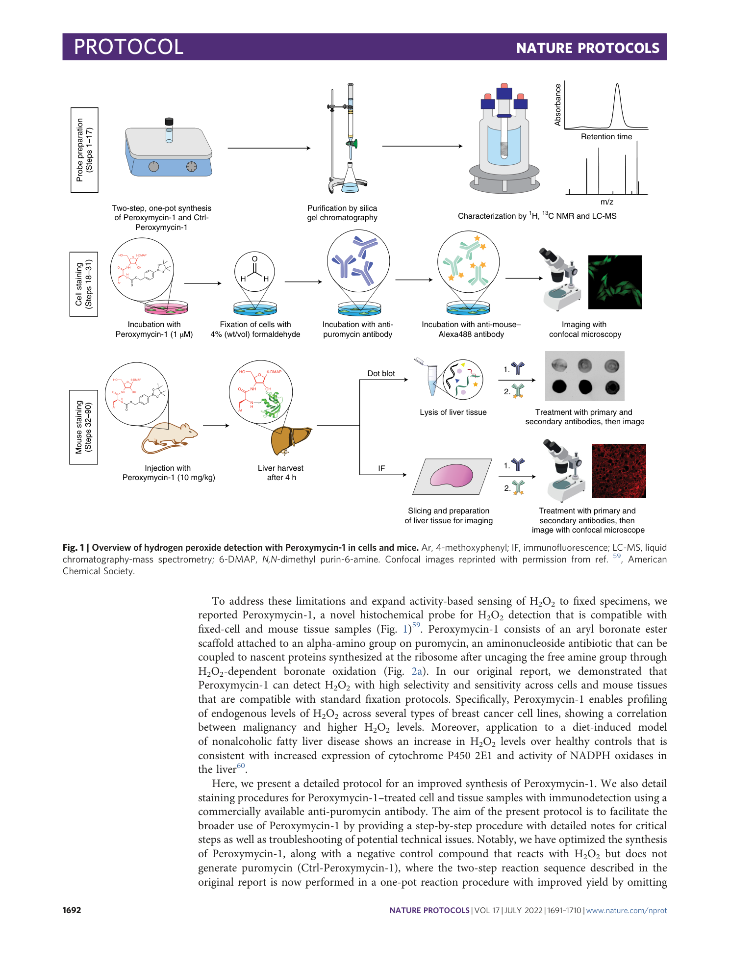 page-2