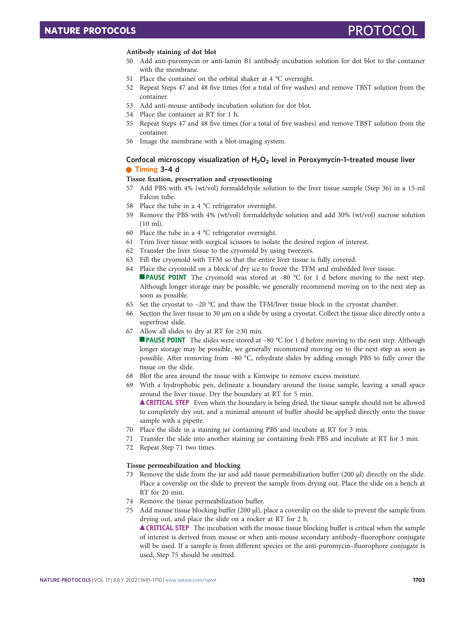 page-13