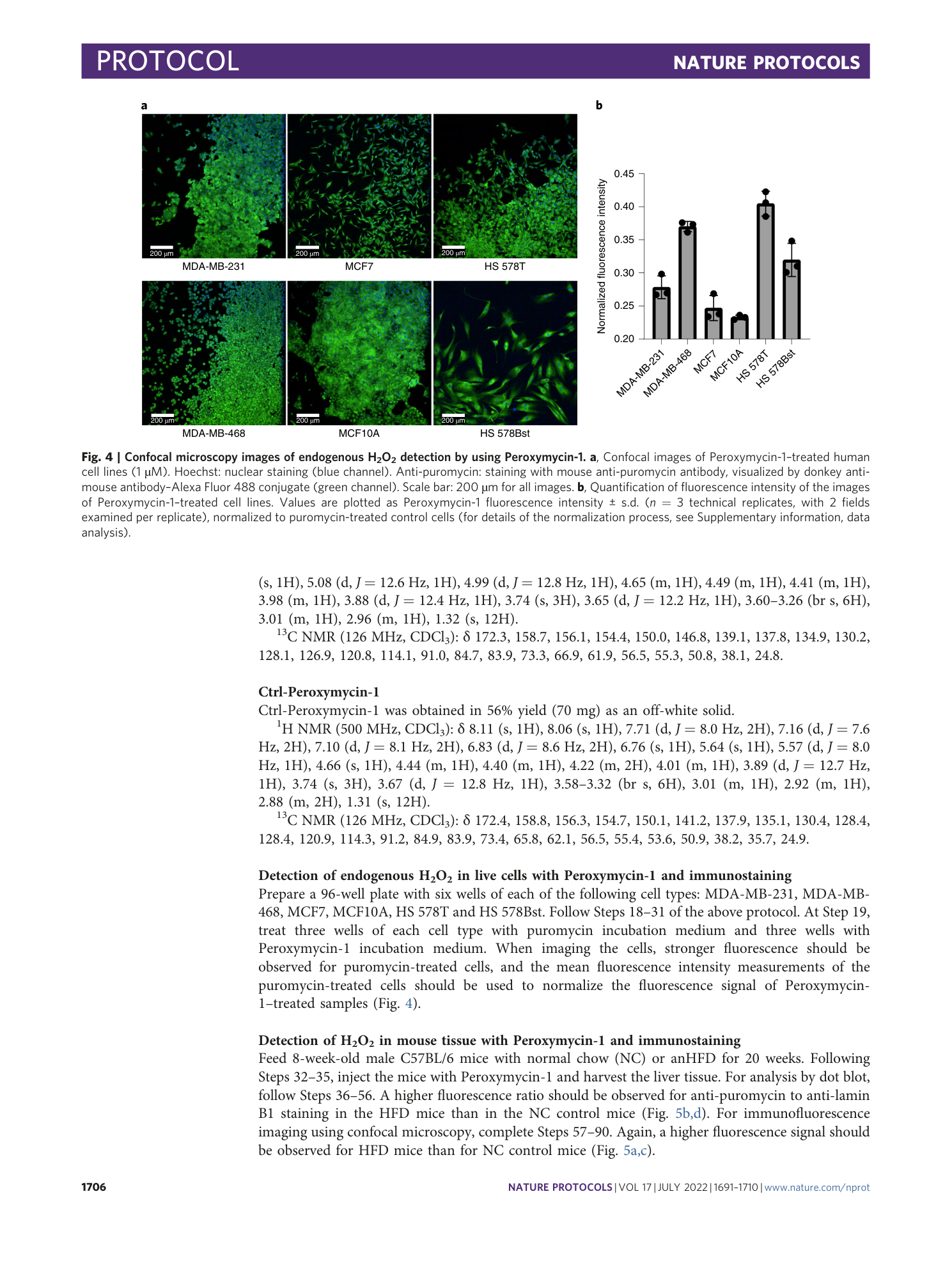 page-16