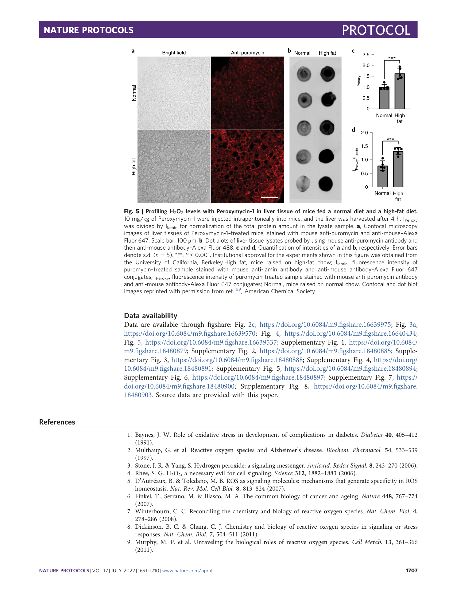 page-17