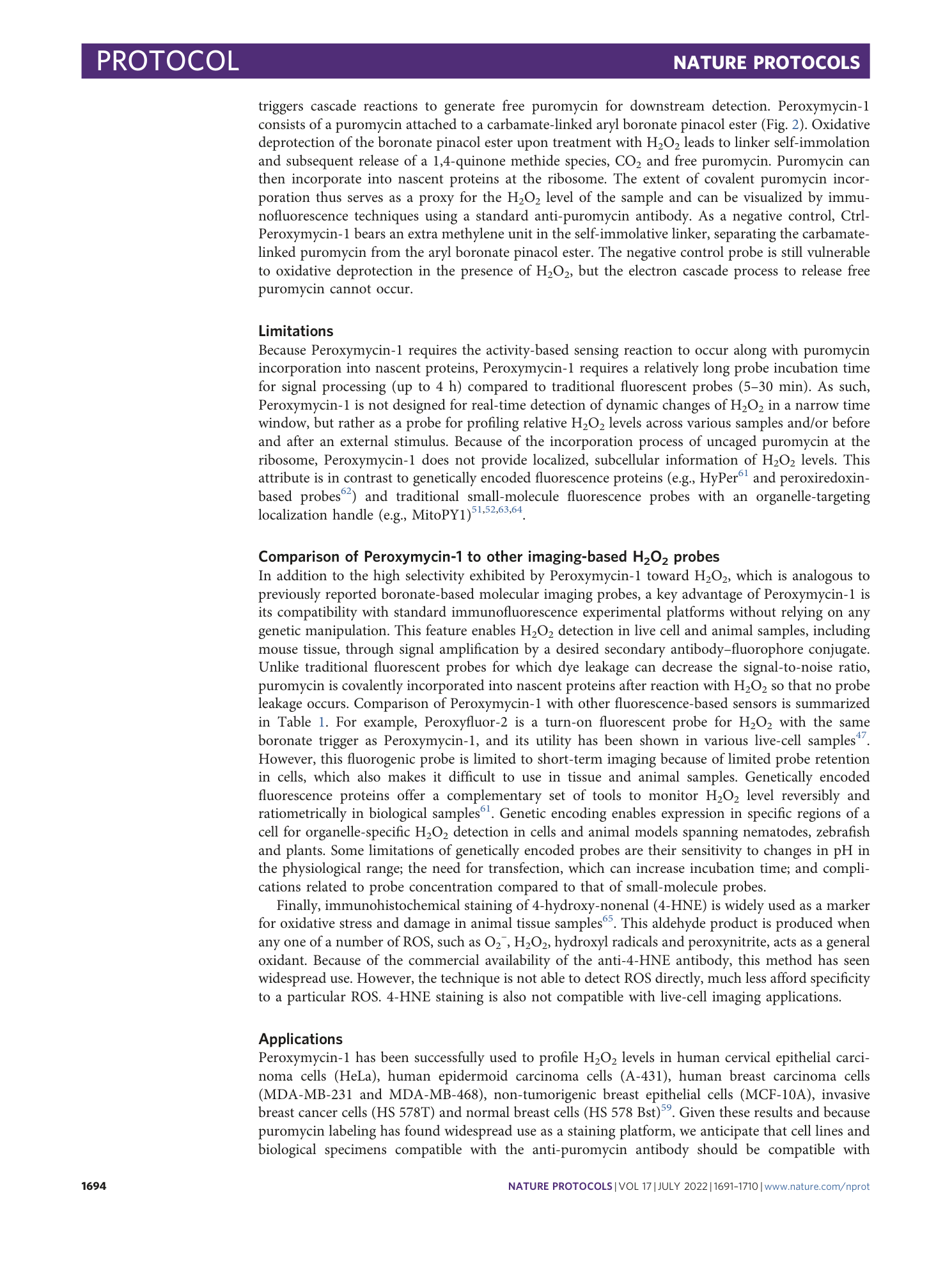 page-4