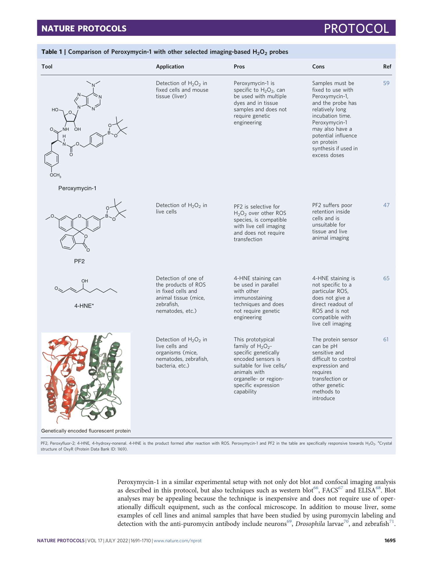 page-5