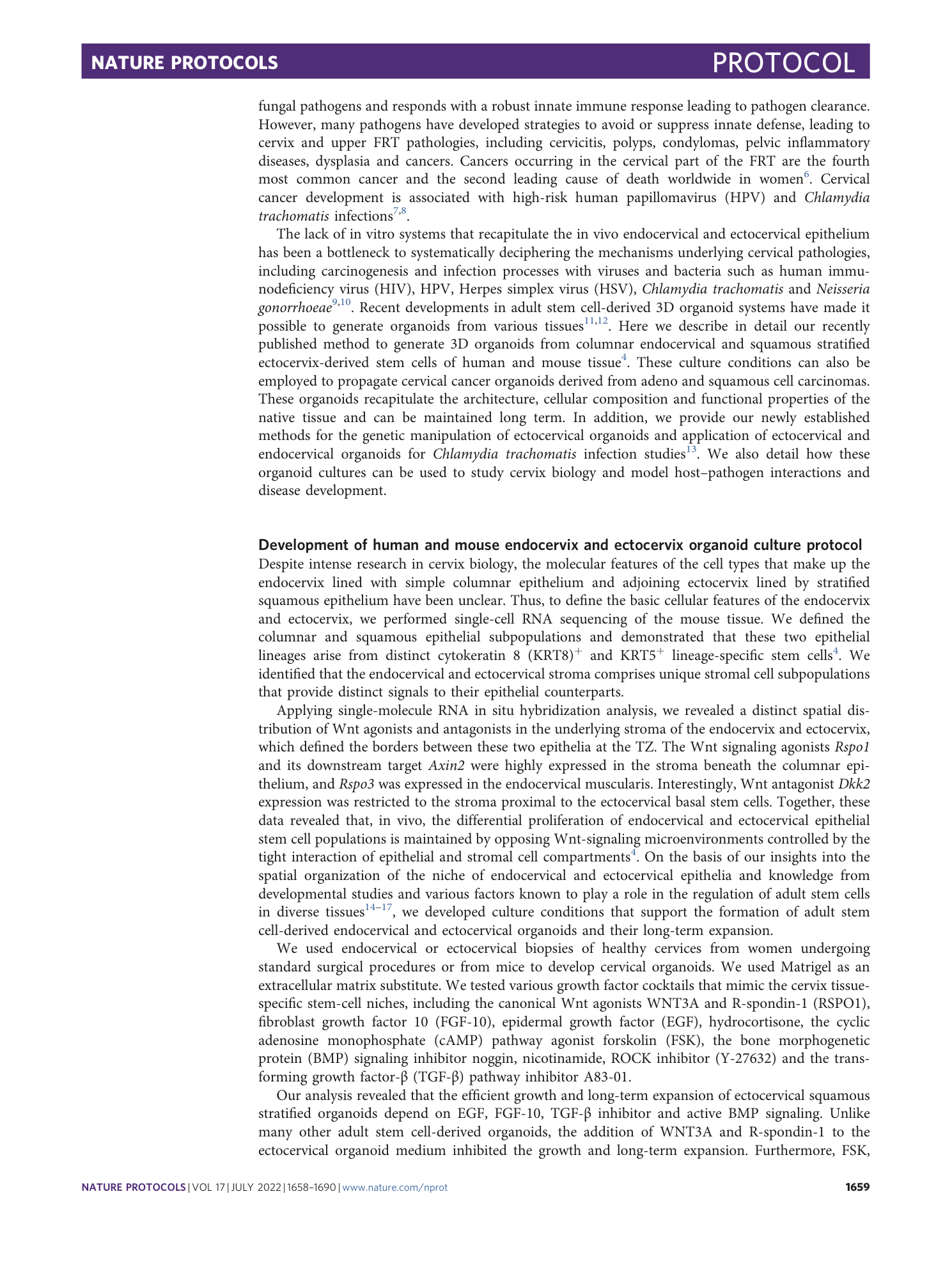 page-2