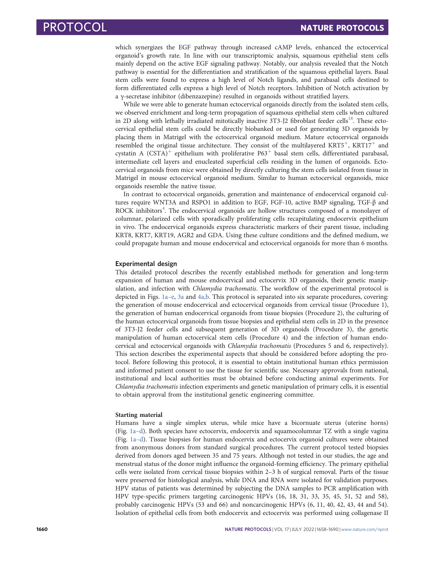 page-3