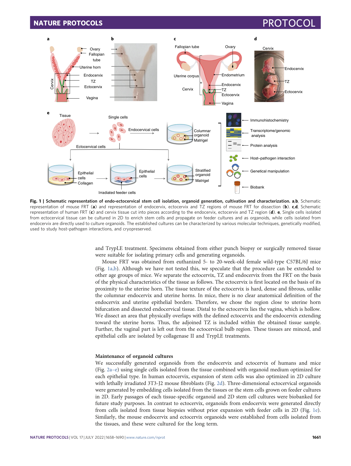 page-4