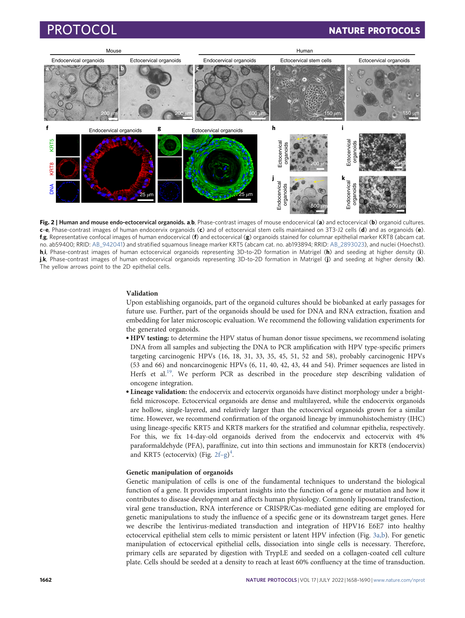 page-5