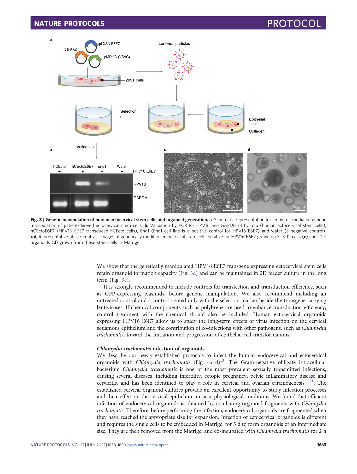 page-6