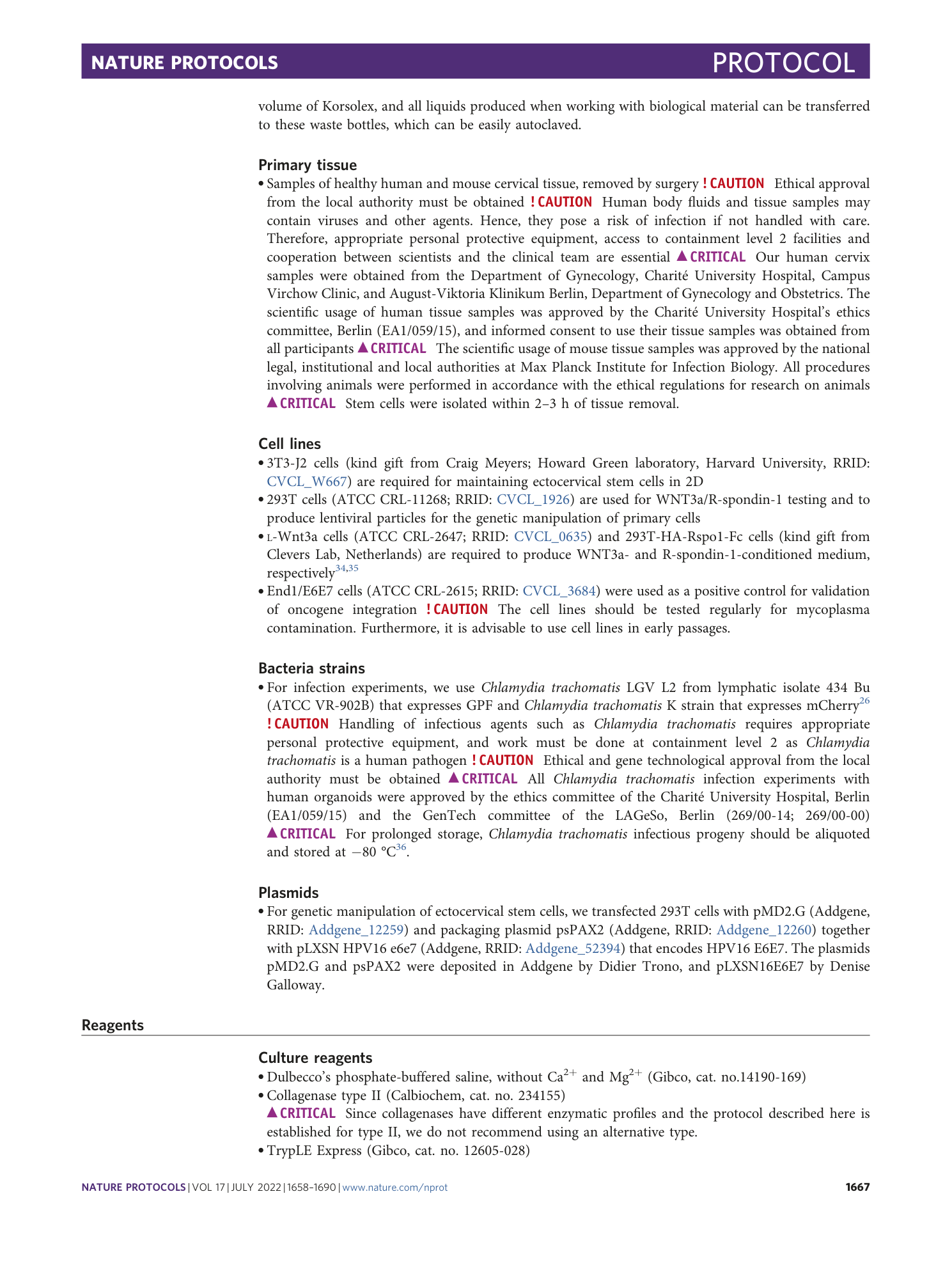 page-10