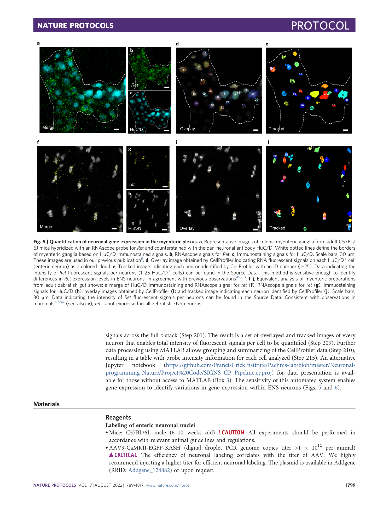 page-11