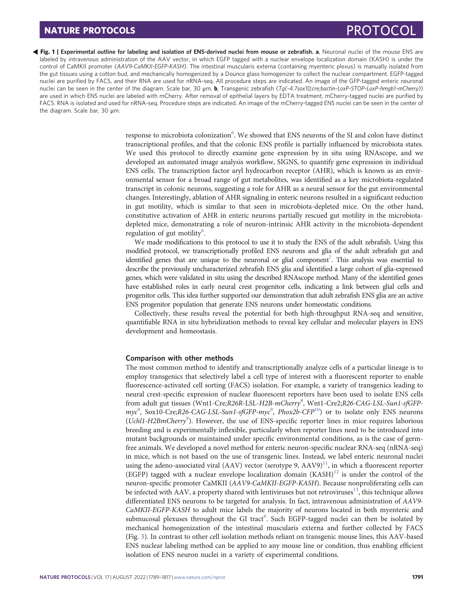 page-3