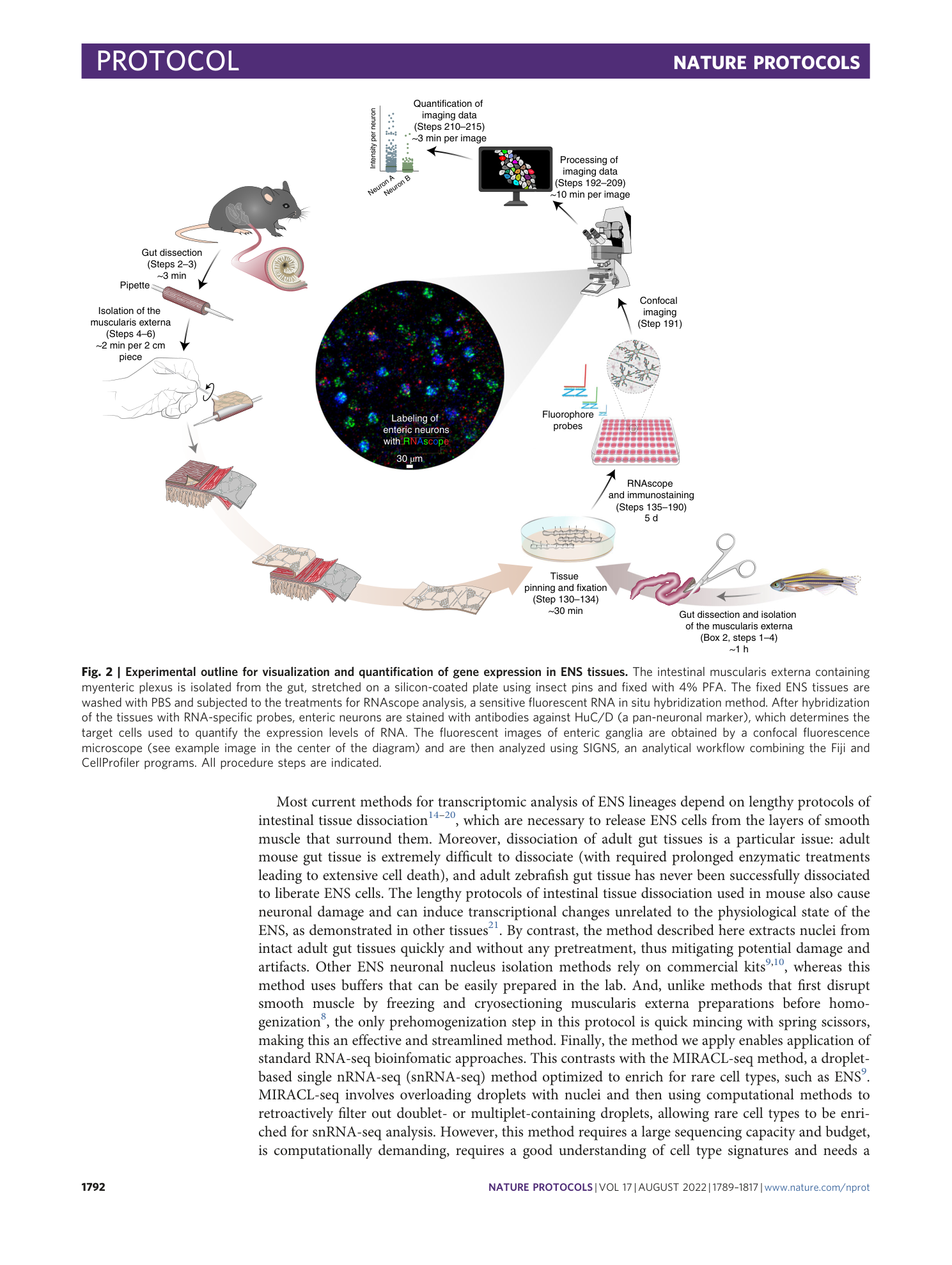 page-4