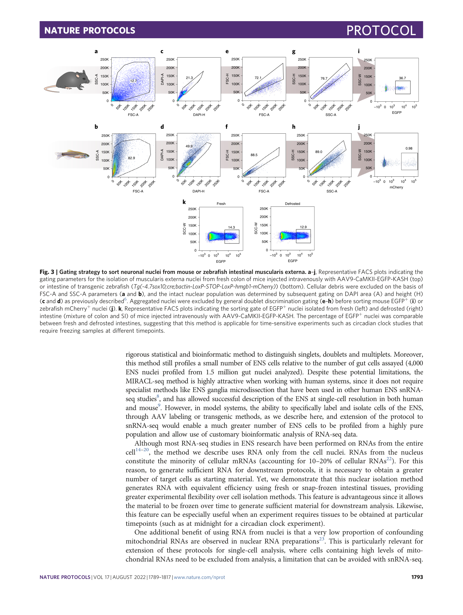 page-5