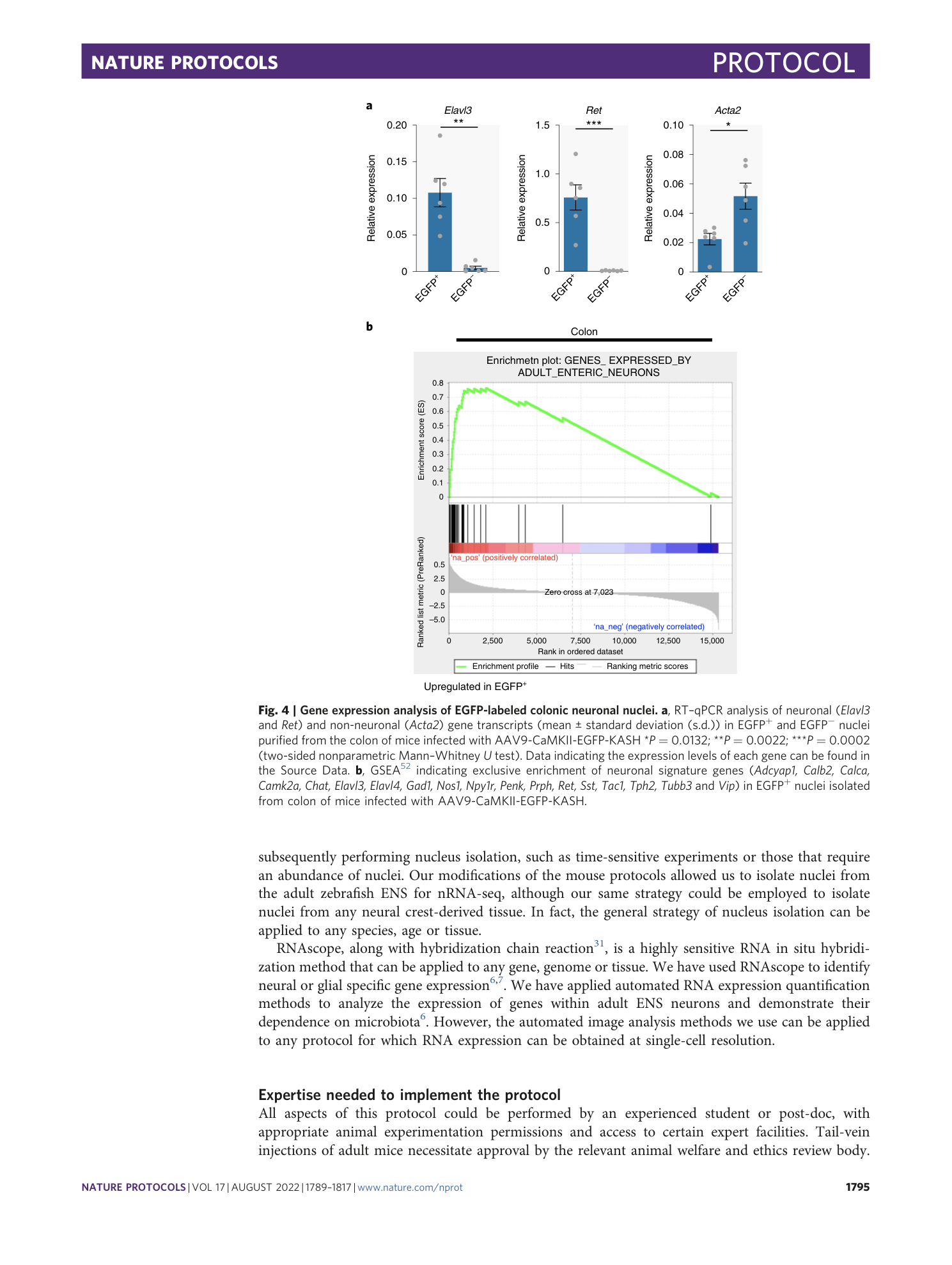 page-7