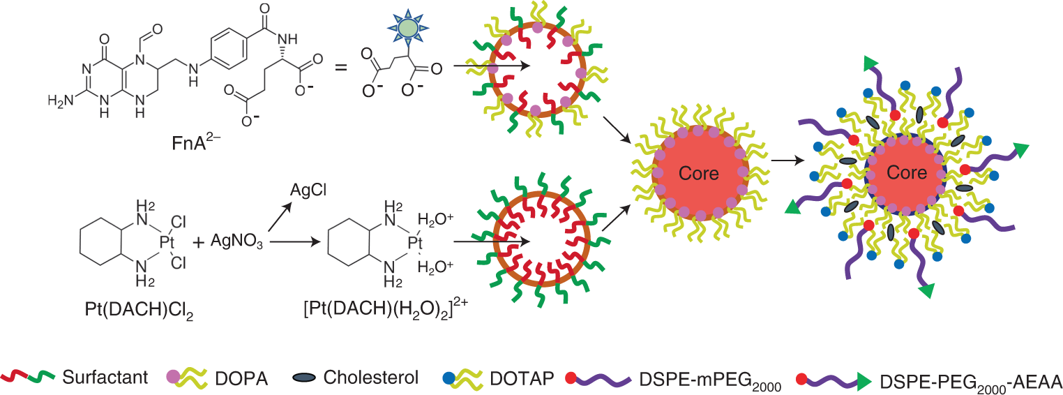 Fig. 1: Schematic representation of Nano-Folox formulated in microemulsions by using the nanoprecipitation technique.