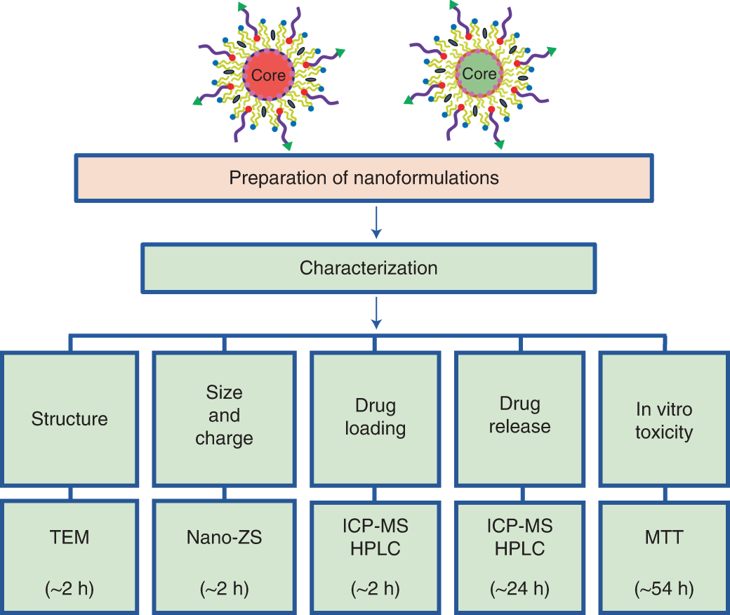 Fig. 3: The characteristic outline of Nano-Folox and Nano-FdUMP.