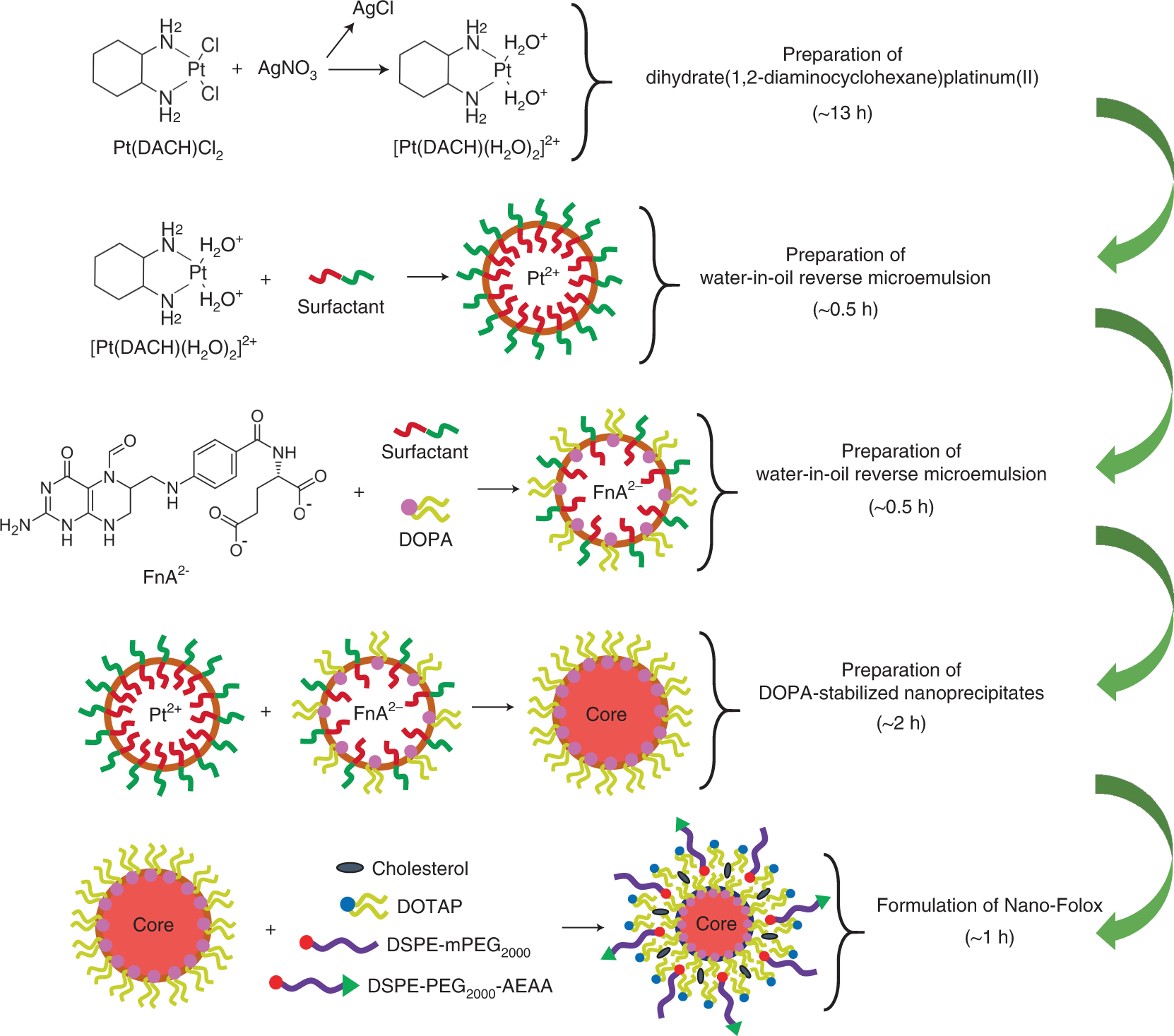 Fig. 4: Experimental outline for formulation of Nano-Folox.