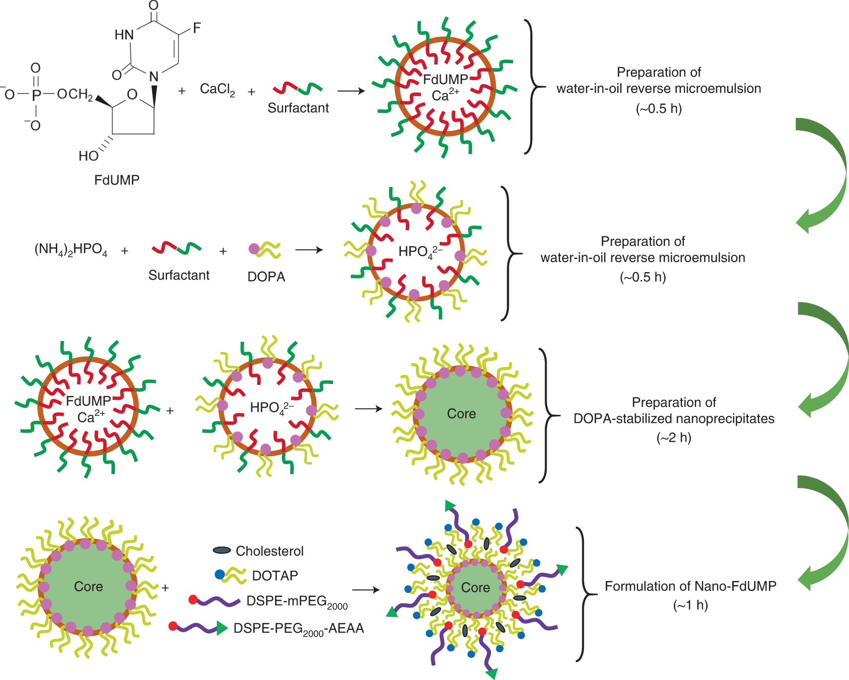 Fig. 5: Experimental outline for formulation of Nano-FdUMP.